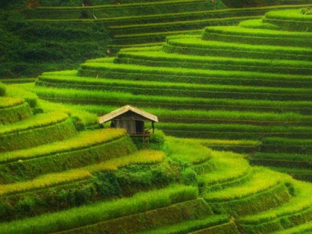 Du lịch - Mù Cang Chải lọt vào top địa điểm sắc màu nhất thế giới