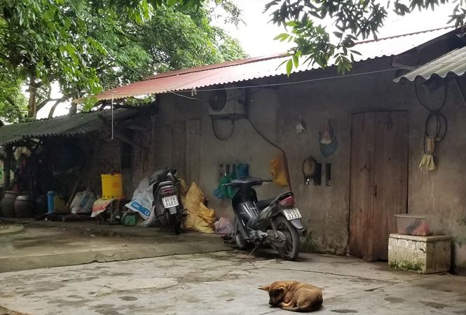 Chưa phạt được ai không rọ mõm chó - 1