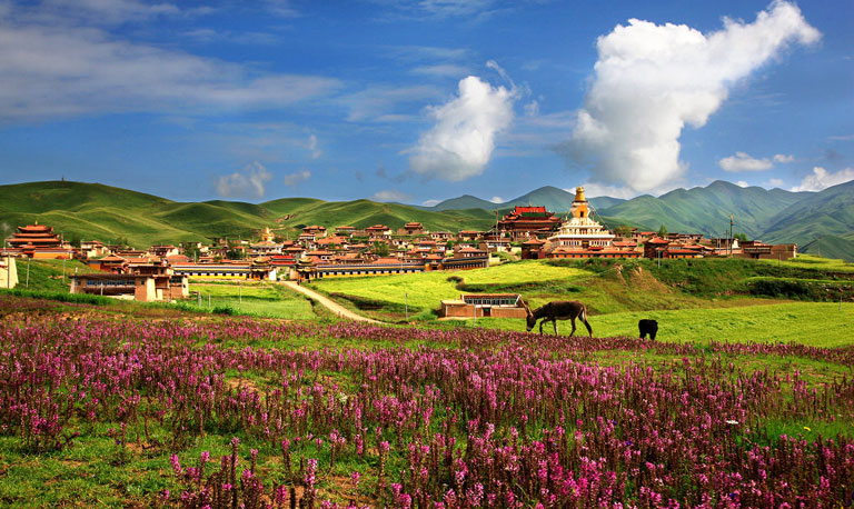 Những bí ẩn Tây Tạng đến nay chưa có lời giải đáp - 6