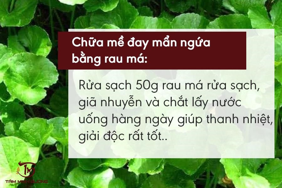 Cách chữa nổi mề đay mẩn ngứa cấp và mãn tính theo chuyên gia - 3