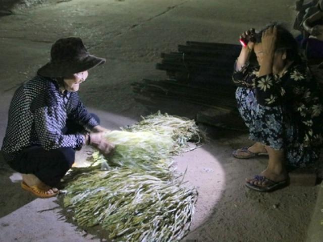 Tin tức trong ngày - Chợ nón lá trong bóng đêm