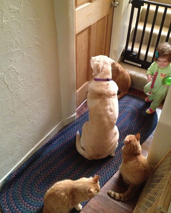 10 tình huống chứng tỏ nuôi con chưa bao giờ hài hước đến vậy - 10