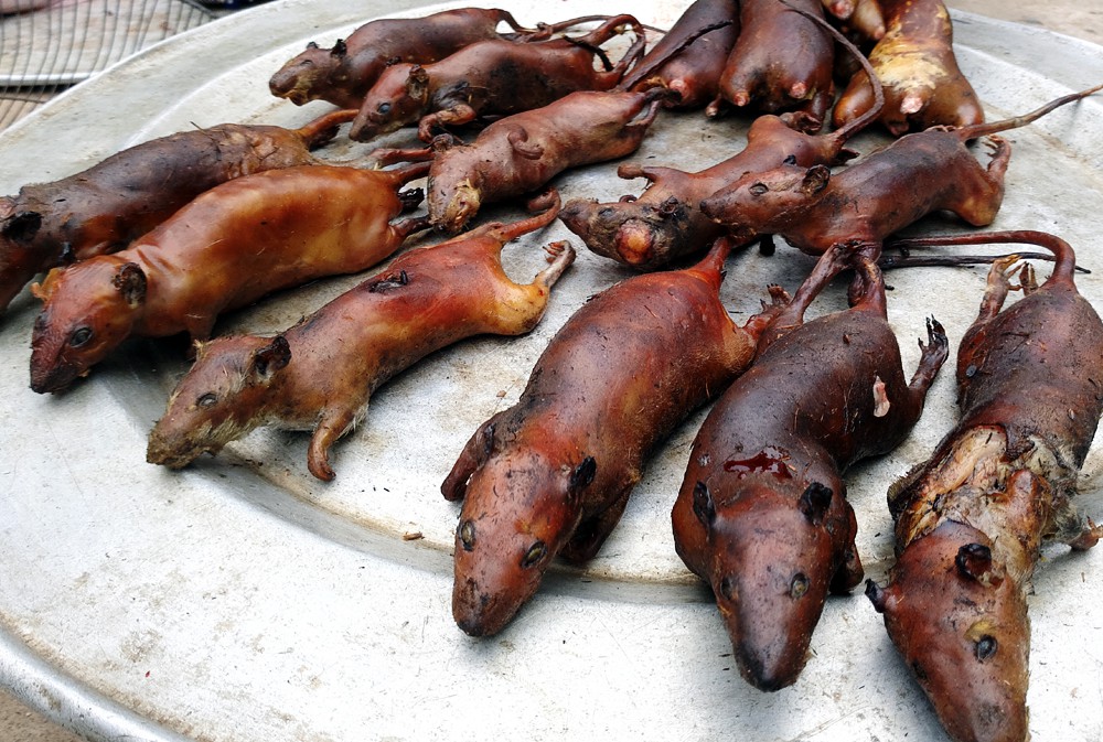 Những món ăn ngon tuyệt của người Việt nhưng du khách lại sợ chết khiếp - 7