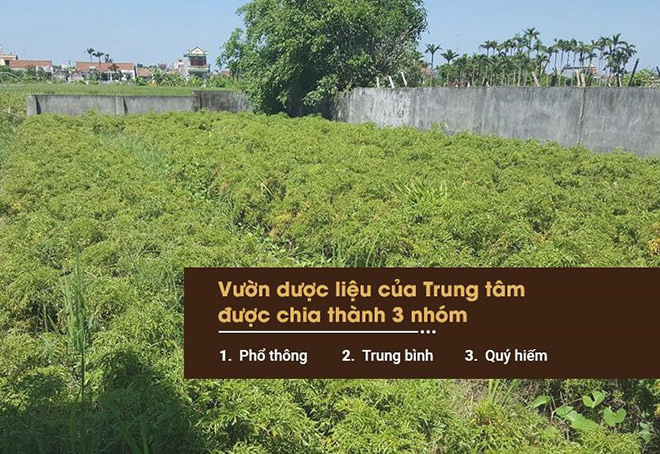 Công ty Da liễu Đông y Việt Nam: Tự chủ nguồn dược liệu để tạo nên sản phẩm sạch - 1