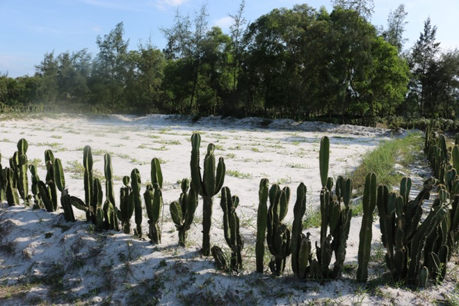 Lay lắt sống trên mỏ quặng sắt lớn nhất Đông Nam Á - 2
