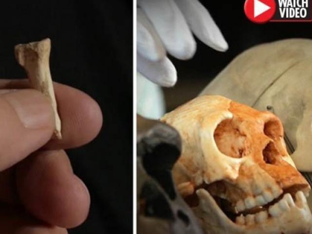 Thế giới - Phát hiện chủng người chưa từng biết đến ở Đông Nam Á 50.000 năm trước