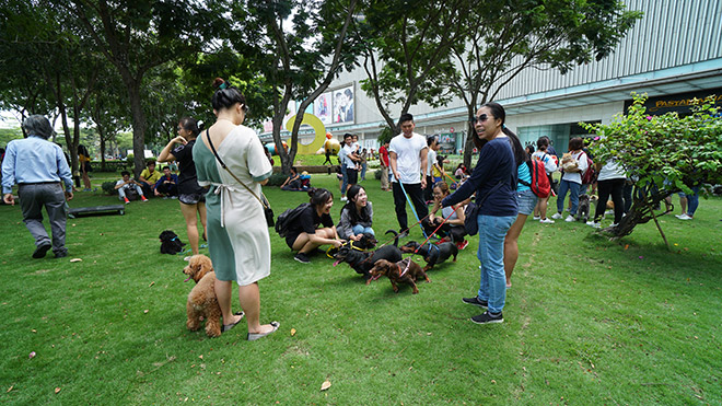 Crescent Mall chính thức mở cửa công viên thú cưng đầu tiên tại TP.HCM - 2