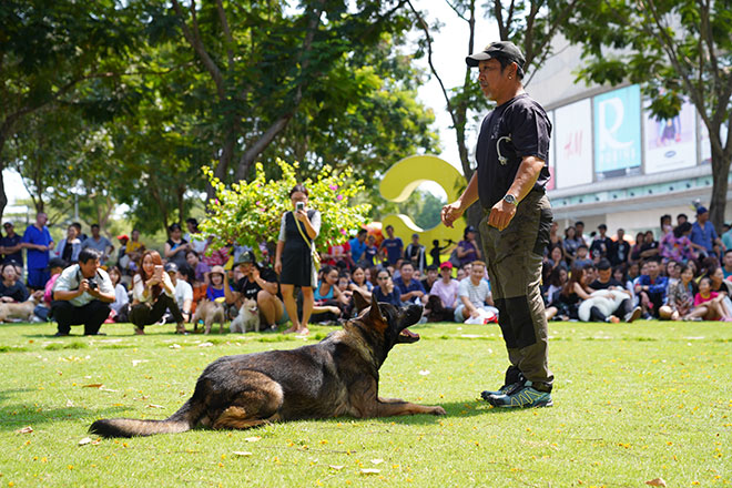 Crescent Mall chính thức mở cửa công viên thú cưng đầu tiên tại TP.HCM - 4