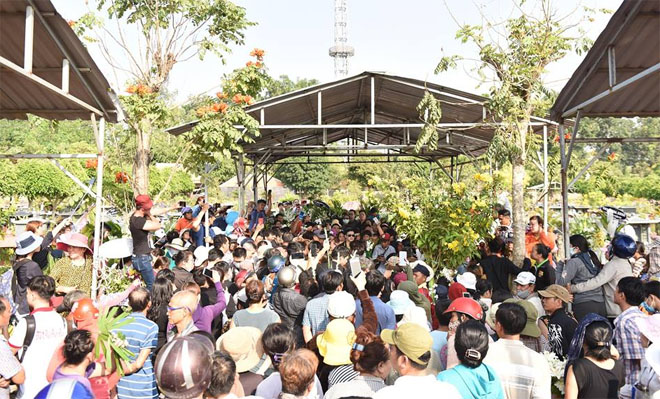 Trèo cây, đu cột để giành chỗ livestream trong lúc chôn cất linh cữu cố NS Anh Vũ - 4
