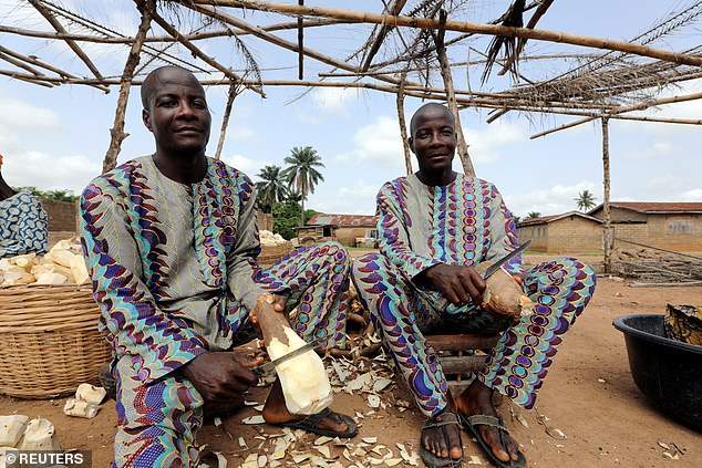 Kì lạ ngôi làng có nhiều cặp sinh đôi nhất thế giới - 2