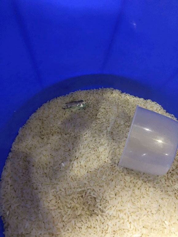 Anh chồng đáng thương bị vợ phát hiện chỗ giấu tiền cực độc - 7