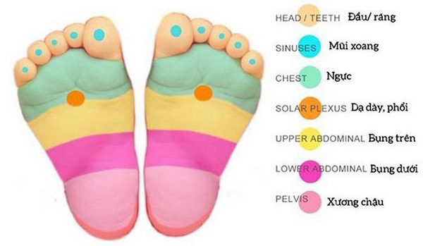 Hướng dẫn cách bấm huyệt bàn chân chữa bệnh xương khớp, ho, nam khoa hiệu quả ít người biết tới - 2