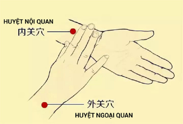 Huyệt nội quan và ứng dụng chữa bách bệnh tại nhà thuốc Đỗ Minh Đường - 2