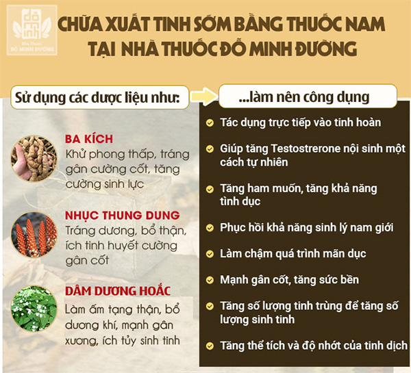 Những cách chữa trị xuất tinh sớm hiệu quả giúp nam giới dồi dào sinh lực - 4