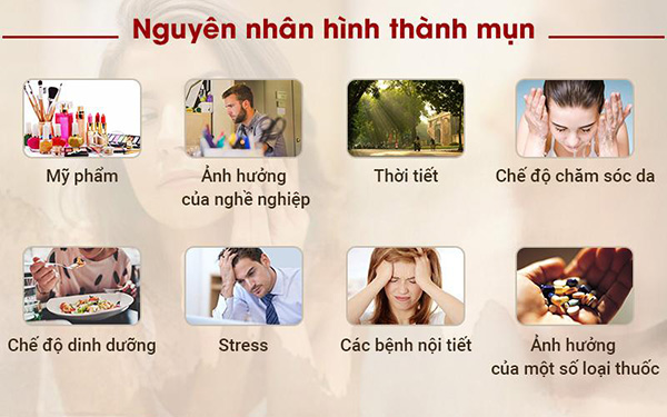 Hỗ trợ trị mụn an toàn bằng giải pháp toàn diện từ thảo mộc thiên nhiên - 1