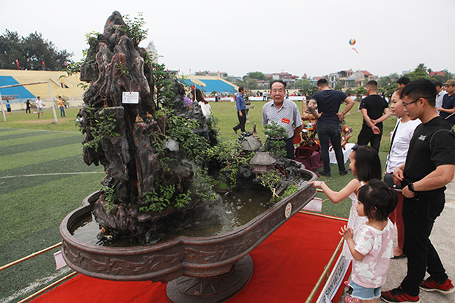 Xuất hiện tại Triển lãm sinh vật cảnh Sơn Tây (Hà Nội) mở rộng năm 2019, tiểu cảnh mang tên "Quê hương tôi Việt Nam” của nghệ nhân Nguyễn Văn Tiến (Sơn Tây) thu hút khá đông du khách đến chiêm ngưỡng.
