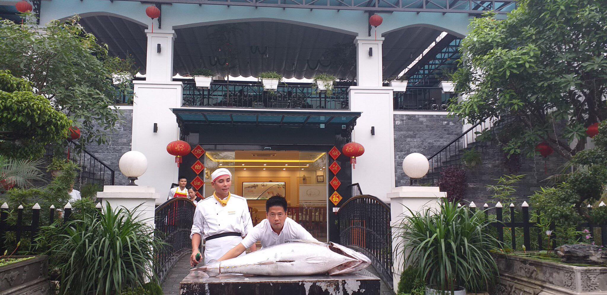 Cá ngừ đại dương đi máy bay từ Phú Yên ra Bắc Ninh - 1