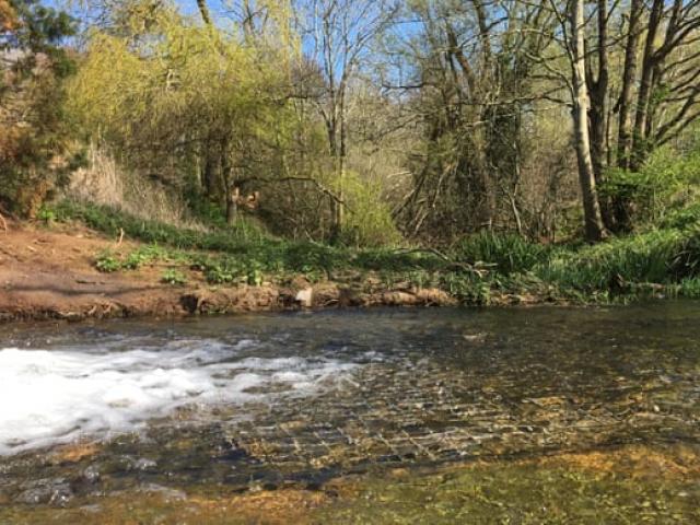 Thế giới - Dòng sông chết tại Anh hồi sinh sau 70 năm