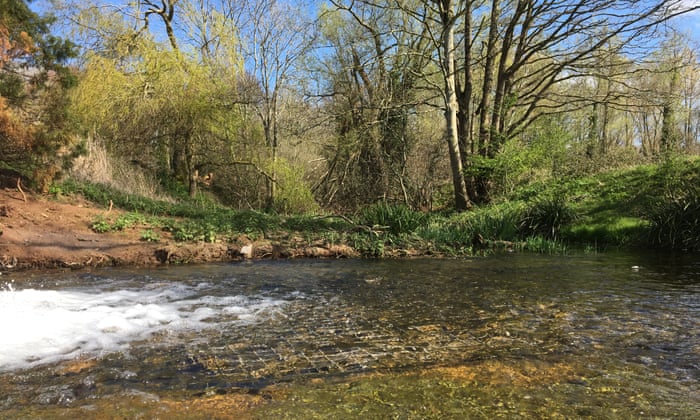 Dòng sông chết tại Anh hồi sinh sau 70 năm - 1