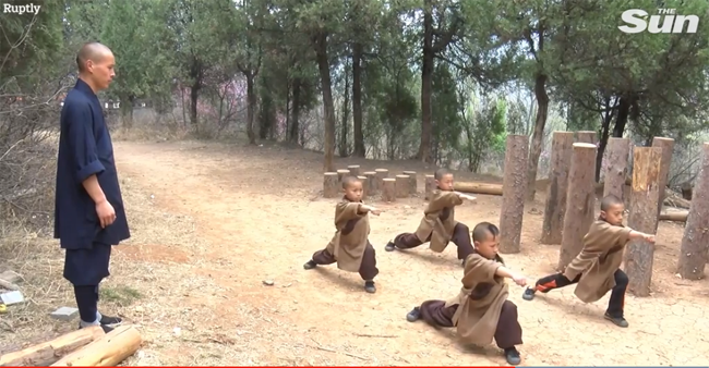 Chú tiểu 6 tuổi treo mình lơ lửng trên cây luyện võ Kung-fu - 5