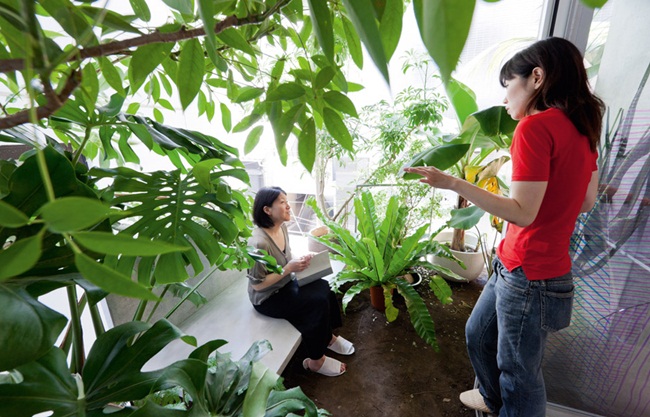 Các mảnh vườn nằm xen kẽ với các phòng ở 4 tầng của căn nhà giúp che mặt tiền tránh ánh mắt tò mò của những người lạ đi qua căn nhà.