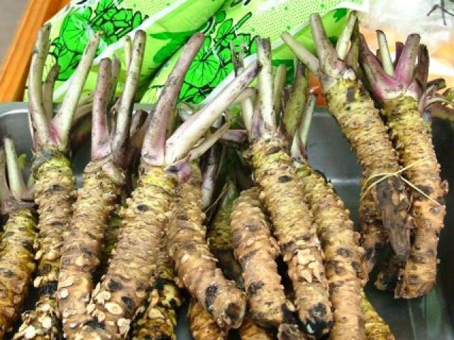 Thị trường - Tiêu dùng - Loại cải "vừa cay vừa đắng", giá bán tới 2 triệu đồng/kg