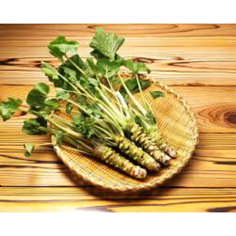 Loại cải &#34;vừa cay vừa đắng&#34;, giá bán tới 2 triệu đồng/kg - 2
