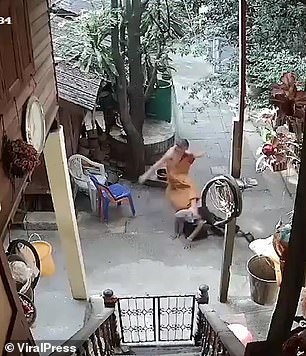 Thầy tu Thái Lan đấm đá tàn tệ một người đàn ông tàn tật - 1
