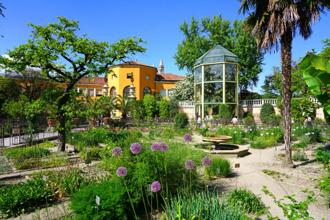 Vườn Poison được lấy cảm hứng từ vườn bách thảo Orto Botanico di Padova ở Padua, Italia.