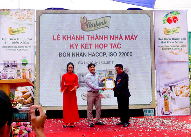 Hạt Điều Hải Bình Gia Lai đạt chứng nhận HACCP do Trung tâm TQC cấp - 4