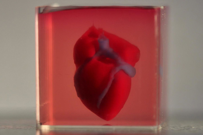 Sốc: Trái tim đầu tiên được in 3D bằng tế bào của chính bệnh nhân - 1