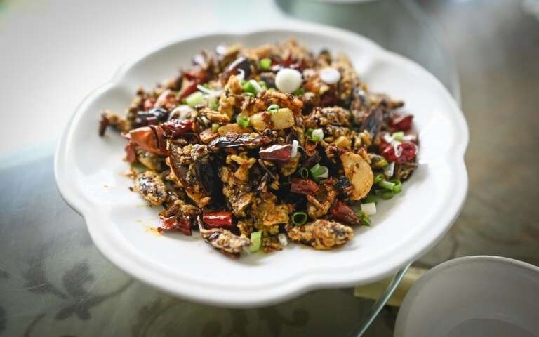 Người đàn ông Trung Quốc nuôi hàng triệu con gián làm mồi nhậu - 2