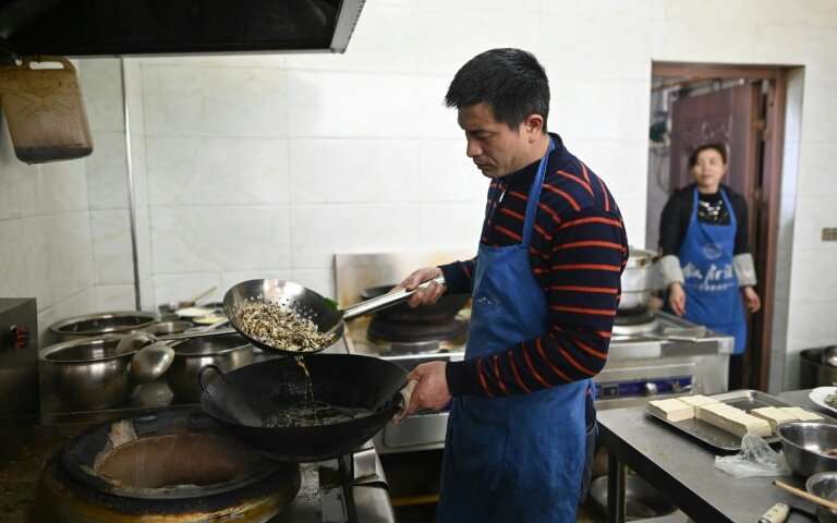 Người đàn ông Trung Quốc nuôi hàng triệu con gián làm mồi nhậu - 5