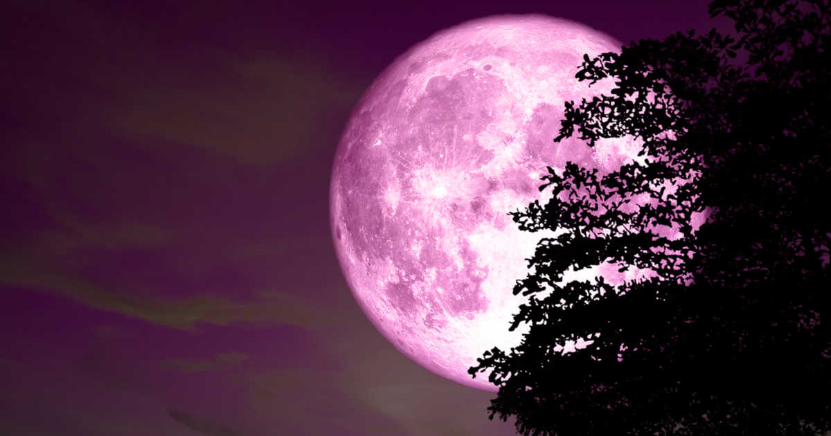 Ngày mai, hiện tượng trăng hồng độc đáo sẽ xuất hiện - 1
