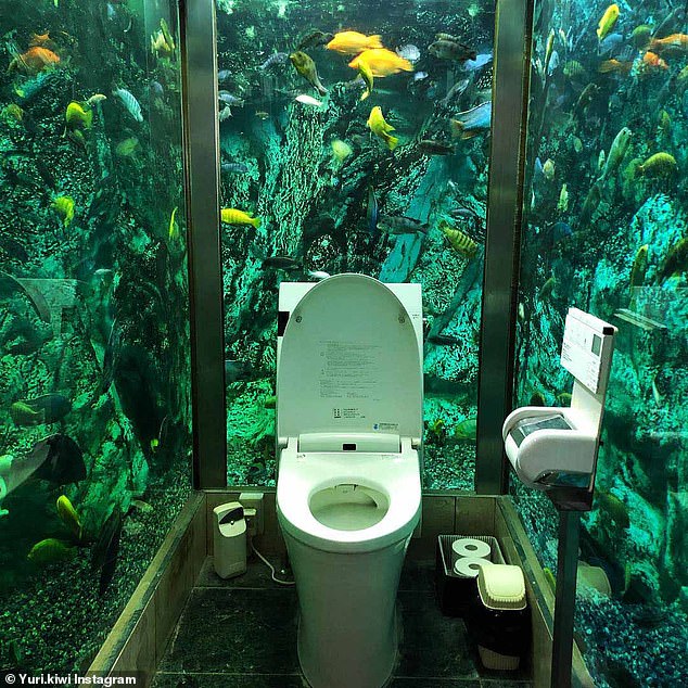 Trải nghiệm đi toilet giữa bể cá khổng lồ tại quán cà phê Nhật - 1