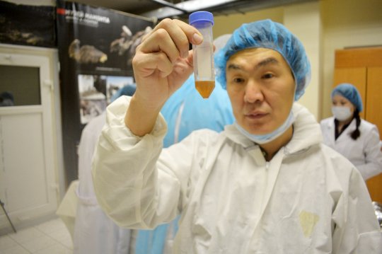 Phát hiện mẫu nước tiểu “cổ” nhất thế giới, cách đây 42.000 năm - 1