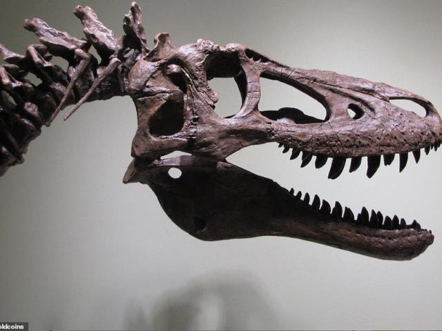 Thế giới - Tá hỏa vì hóa thạch khủng long T-Rex duy nhất bị rao bán trên eBay