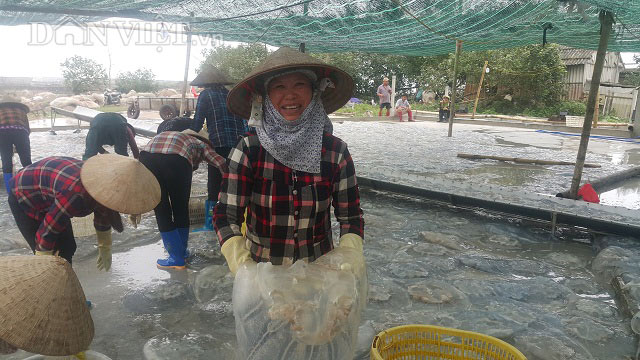 Nam Định: Săn vàng trắng nổi lập lờ ven bờ biển, kiếm chục triệu/ngày - 8