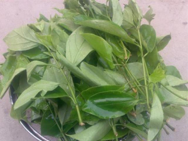 Ẩm thực - Món ngon mùa nắng – canh rau sắng xua tan bức bối trong người