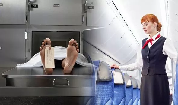 Ám ảnh với nữ tiếp viên hàng không: Người ngồi ghế hành khách là xác chết - 1