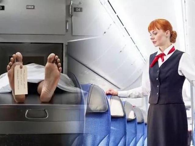 Ám ảnh với nữ tiếp viên hàng không: Người ngồi ghế hành khách là xác chết