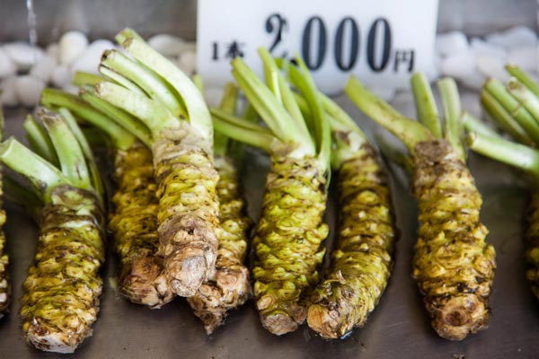 "Phát sốt" loại củ đắng lè, cay cực mạnh lên tận óc: Giá 2 triệu/kg - 7