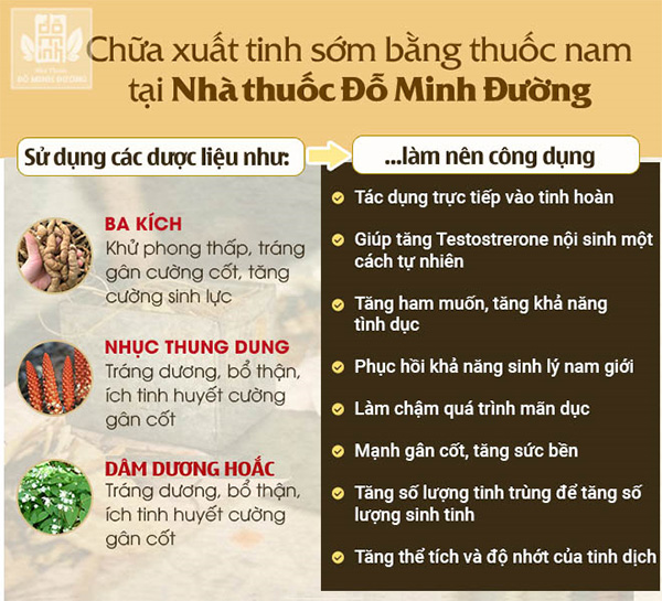 Cách trị xuất tinh sớm tại nhà cực kỳ đơn giản mà hiệu quả cho phái mạnh - 5