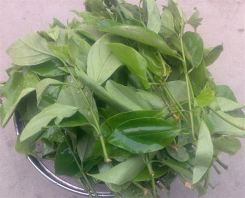 Món ngon mùa nắng - canh rau sắng xua tan bức bối trong người