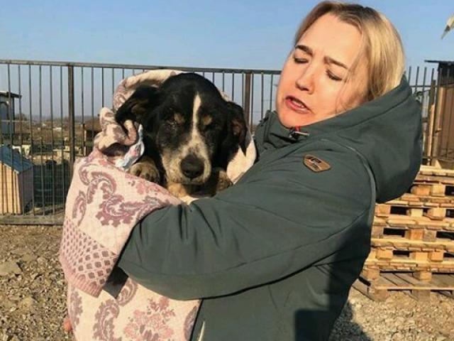 Phi thường - kỳ quặc - Hôm trước đem chó chết đi chôn, hôm sau sốc thấy chó "lên mạng" tìm chủ