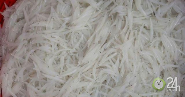 Người Hà thành tranh nhau mua loại cá trắng tinh, thân mềm như bún