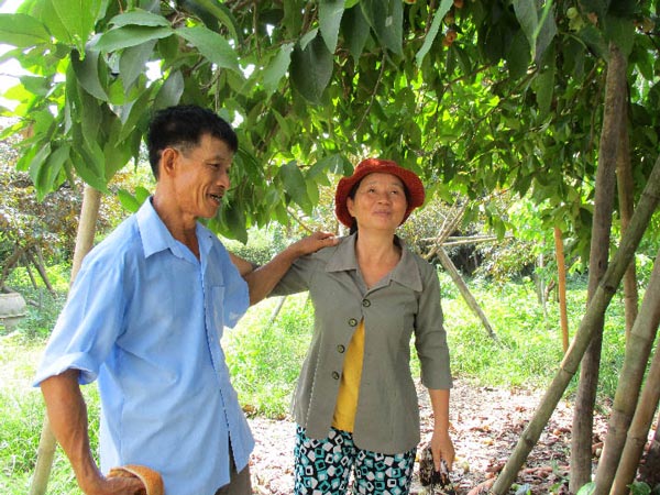 Quảng Nam: Đếm tiền "khỏe re” từ cây ra quả "khổng lồ", thơm cả xóm - 6