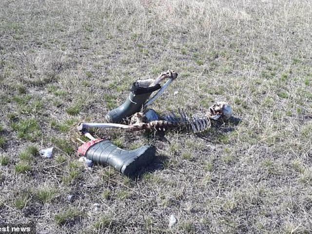 Thế giới - Nga: Phát hiện bộ xương người trơ trọi và câu chuyện đau lòng phía sau