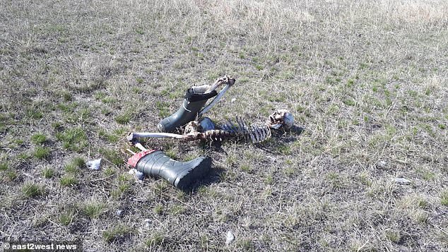 Nga: Phát hiện bộ xương người trơ trọi và câu chuyện đau lòng phía sau - 2