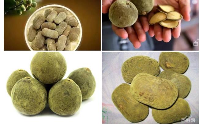 Quả đen thâm, lồi lõm và xấu xí như thế này liệu có ai mua không nhỉ? Đây là bưởi Hóa Châu của Trung Quốc. Tuy thuộc họ bưởi nhưng phần thịt quả của chúng rất ít và có màu nâu. Do có vị đắng nên loại quả này không thể ăn mà chỉ dùng để làm thuốc. Chúng có giá lên tới 133 triệu đồng/quả.